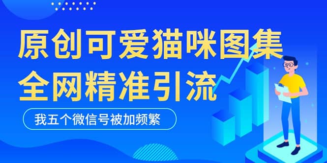 黑科技纯原创可爱猫咪图片，全网精准引流，实操5个VX号被加频繁-廉价云资源网
