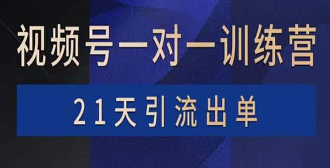 视频号训练营：带货，涨粉，直播，游戏，四大变现新方向，21天引流出单-廉价云资源网