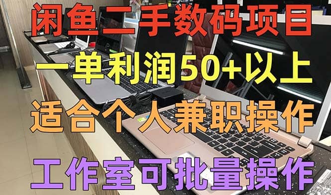 闲鱼二手数码项目，个人副业低保收入，工作室批量放大操作-廉价云资源网