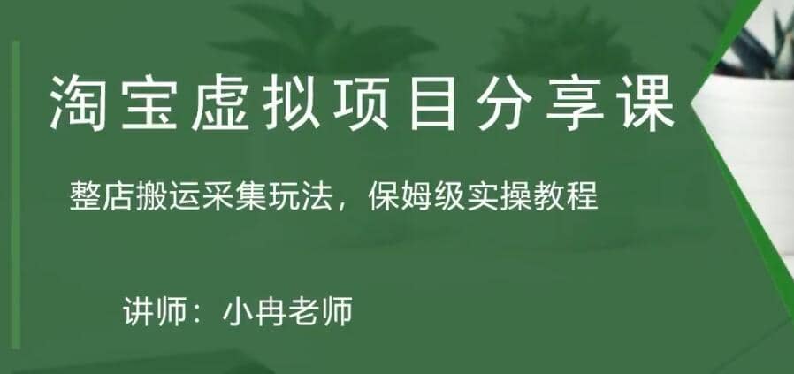 淘宝虚拟整店搬运采集玩法分享课：整店搬运采集玩法，保姆级实操教程-廉价云资源网