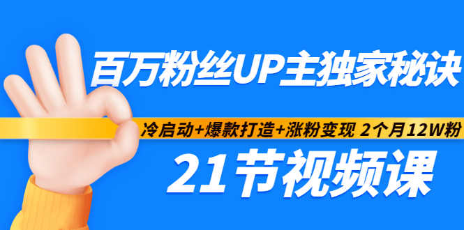 百万粉丝UP主独家秘诀：冷启动+爆款打造+涨粉变现2个月12W粉（21节视频课)-廉价云资源网