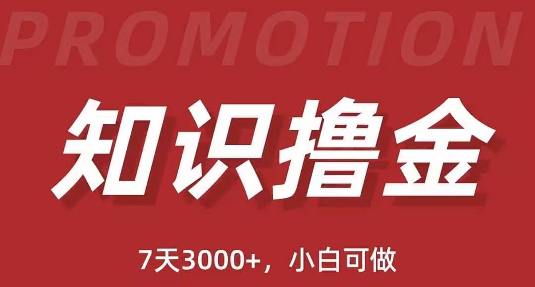 抖音知识撸金项目：执行力强当天见收益(教程+资料)-廉价云资源网