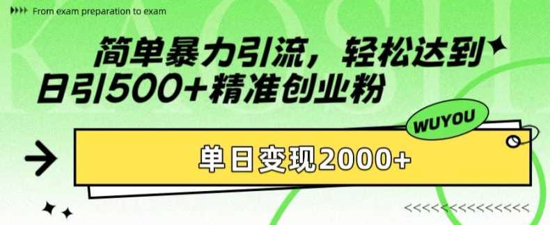 简单暴力引流轻松达到日引500+精准创业粉，单日变现2k【揭秘】-廉价云资源网