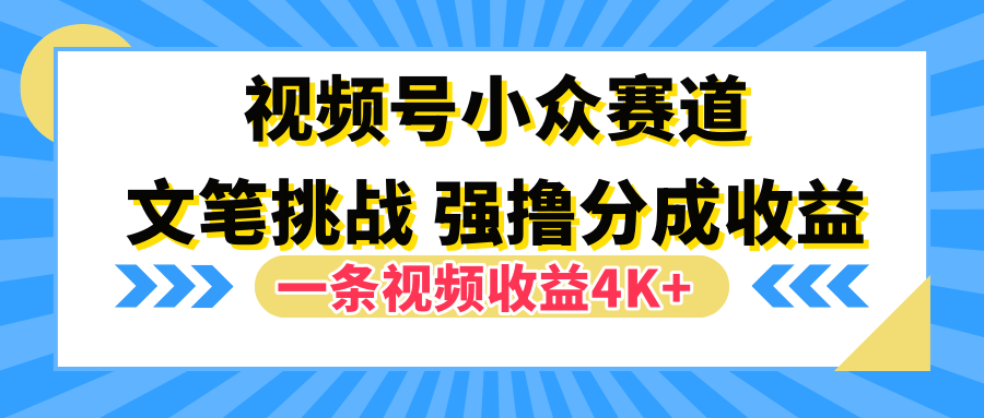 视频号小众赛道，文笔挑战，一条视频收益4K+-廉价云资源网