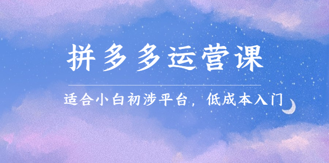 拼多多运营课，适合小白初涉平台，低成本入门-廉价云资源网
