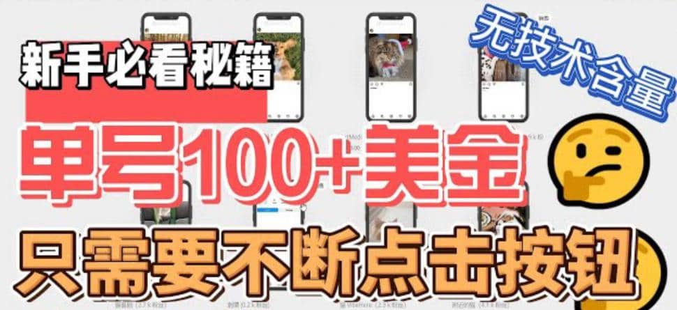 最新无脑只需不断点击按钮，单号100美金暴利项目，可批量操作-廉价云资源网