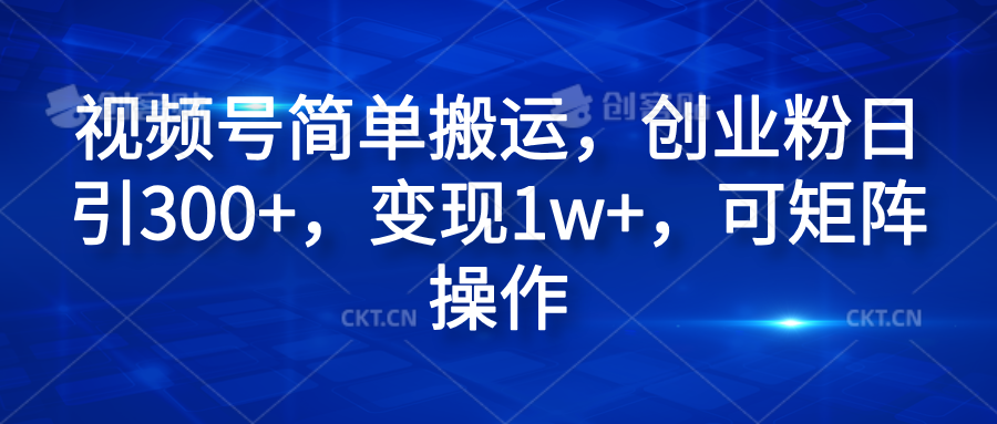 视频号简单搬运，创业粉日引300+，变现1w+，可矩阵操作-廉价云资源网