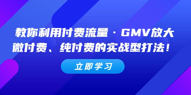教你利用付费流量·GMV放大，微付费、纯付费的实战型打法-廉价云资源网
