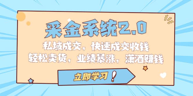 采金 系统2.0，私域成交，快速成交收钱，轻松卖货，业绩暴涨，潇洒赚钱-廉价云资源网