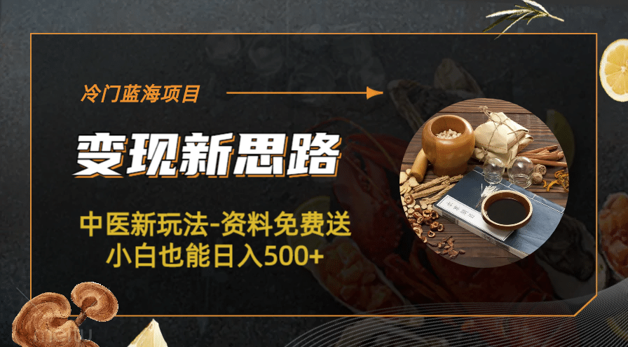 冷门蓝海项目-中医新玩法-冷门蓝海项目-中医新玩法-资料免费送小白也能日入500+500+-廉价云资源网