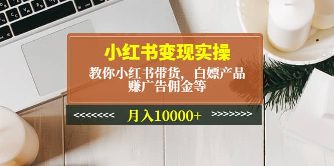 小红书变现实操：教你小红书带货，白嫖产品，赚广告佣金等-廉价云资源网
