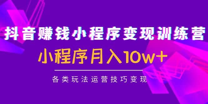抖音小程序变现训练营：小程序各类玩法运营技巧变现-廉价云资源网