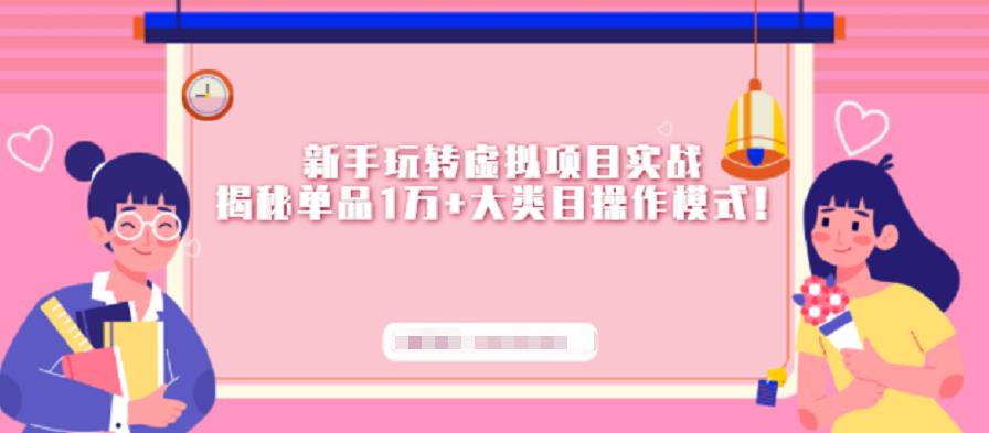 新手玩转虚拟项目实战，揭秘单品1万+大类目操作模式【视频课程】-廉价云资源网
