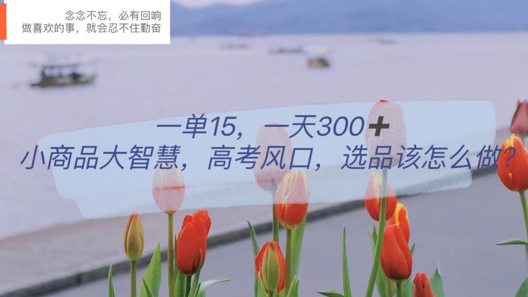 一单15，一天300+，小商品大智慧，高考风口，选品该怎么布局-廉价云资源网