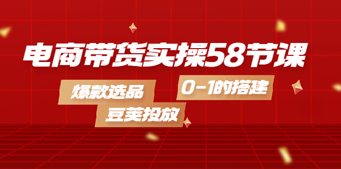 电商带货实操58节课，爆款选品，豆荚投放，0-1的搭建-廉价云资源网