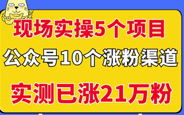 现场实操5个公众号项目，10个涨粉渠道，实测已涨21万粉！-廉价云资源网