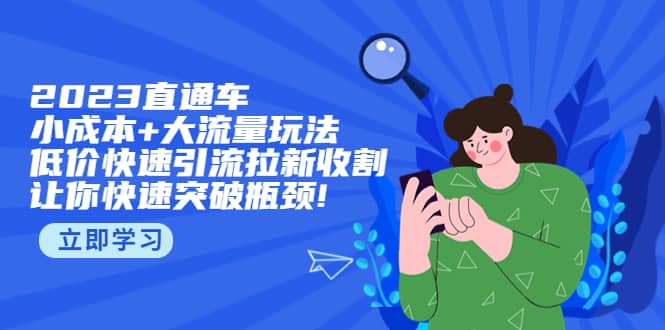 2023直通小成本+大流量玩法，低价快速引流拉新收割，让你快速突破瓶颈-廉价云资源网