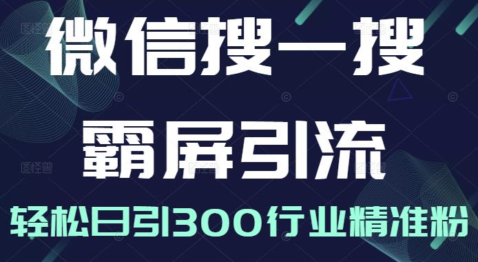 微信搜一搜霸屏引流课，打造被动精准引流系统，轻松日引300行业精准粉【无水印】-廉价云资源网