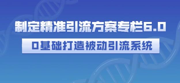 制定精准引流方案专栏6.0，0基础打造被动引流系统-廉价云资源网