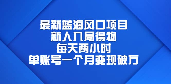 最新蓝海风口项目，新人入局得物，每天两小时，单账号一个月变现破万-廉价云资源网