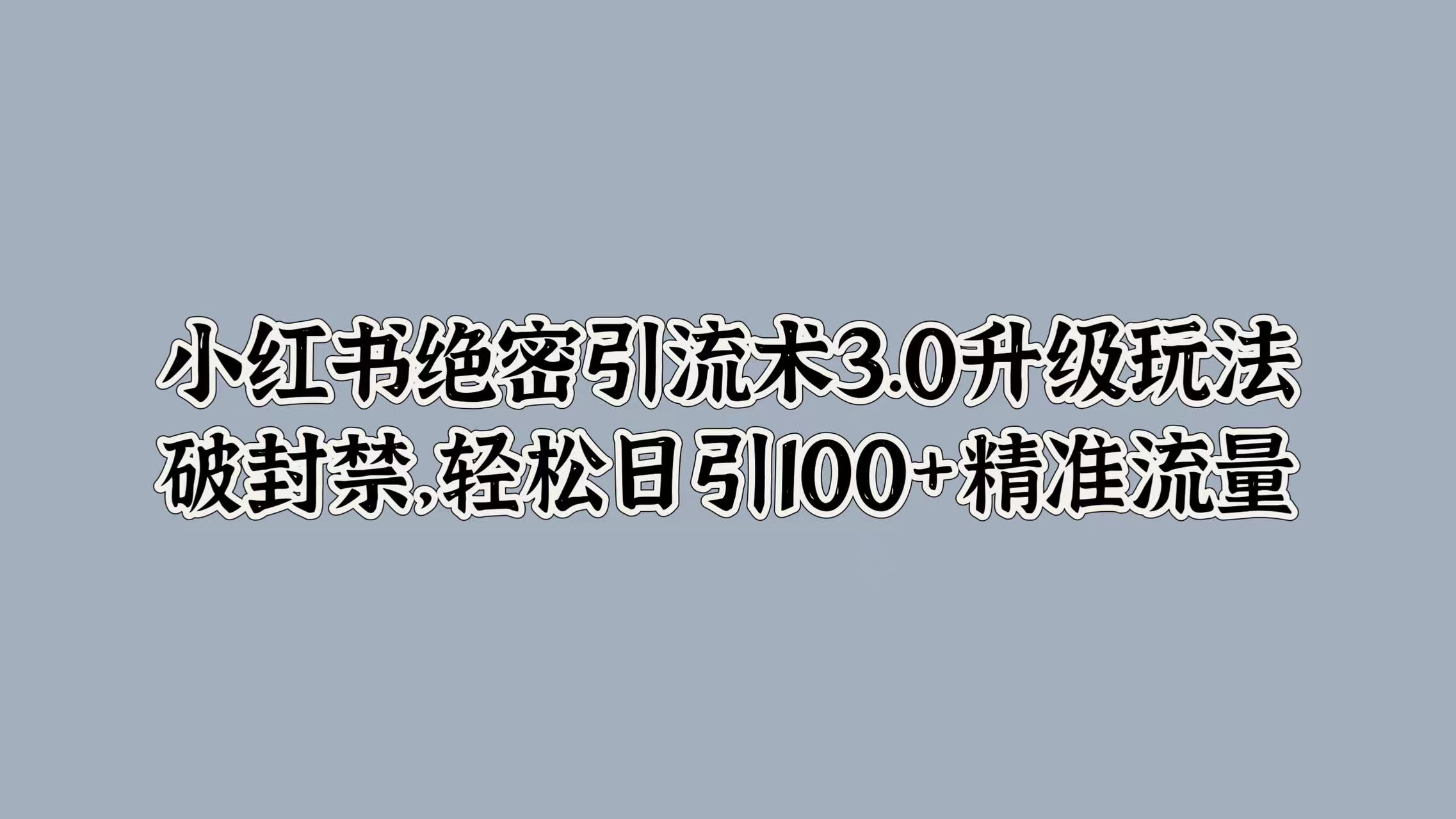 小红书绝密引流术3.0升级玩法，破封禁，轻松日引100+精准流量-廉价云资源网