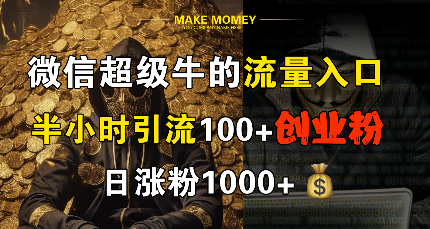 微信超级牛的流量入口，半小时引流100+创业粉，日涨粉1000+-廉价云资源网