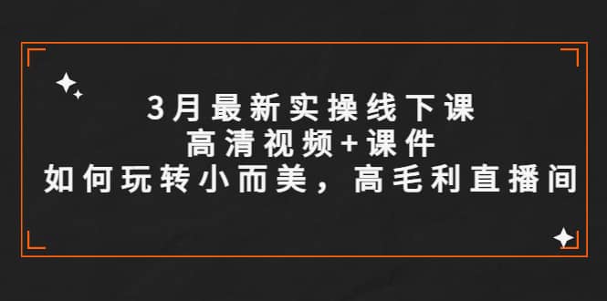 3月最新实操线下课高清视频+课件，如何玩转小而美，高毛利直播间-廉价云资源网