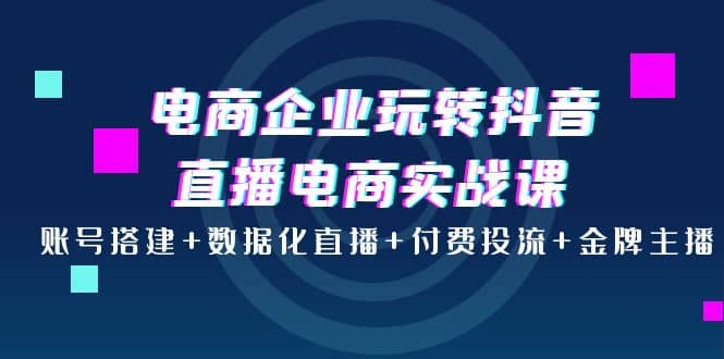 电商企业玩转抖音直播电商实战课：账号搭建+数据化直播+付费投流+金牌主播-廉价云资源网