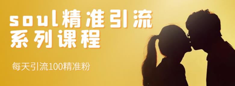 soul精准引流系列课程，每天引流100精准粉-廉价云资源网