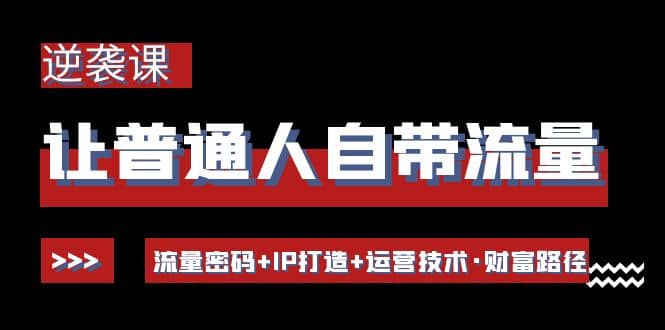 让普通人自带流量的逆袭课：流量密码+IP打造+运营技术·财富路径-廉价云资源网