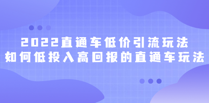 2022直通车低价引流玩法，教大家如何低投入高回报的直通车玩法-廉价云资源网