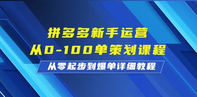 拼多多新手运营从0-100单策划课程，从零起步到爆单详细教程-廉价云资源网
