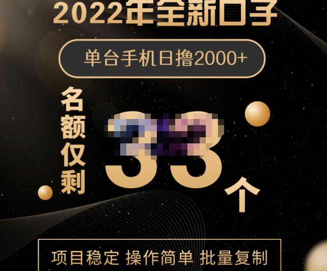 2022年全新口子，手机批量搬砖玩法，一部手机日撸2000+-廉价云资源网