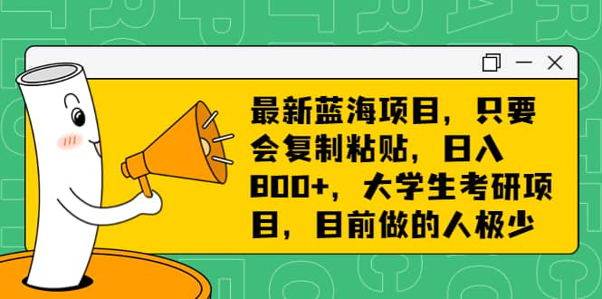 最新蓝海项目，只要会复制粘贴，日入800+，大学生考研项目，目前做的人极少-廉价云资源网