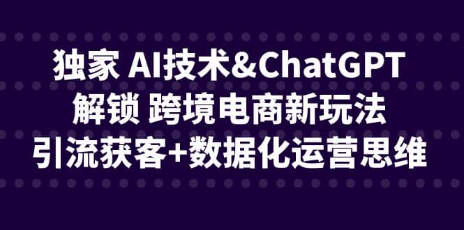 独家 AI技术ChatGPT解锁 跨境电商新玩法，引流获客+数据化运营思维-廉价云资源网