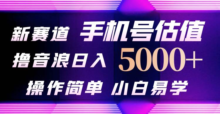 抖音不出境直播【手机号估值】最新撸音浪，日入5000+，简单易学，适合…-廉价云资源网
