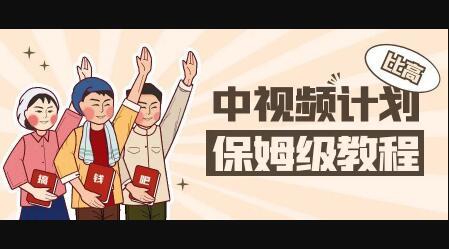 中视频项目，目前靠这个项目养了11人团队【视频课程】-廉价云资源网