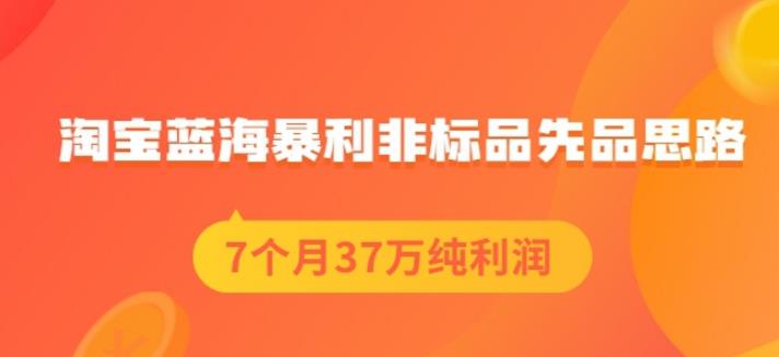 盗坤淘宝蓝海暴利非标品先品思路，7个月37万纯利润，压箱干货分享！【付费文章】-廉价云资源网