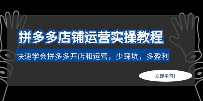拼多多店铺运营实操教程：快速学会拼多多开店和运营，少踩坑，多盈利-廉价云资源网