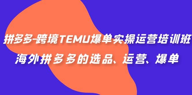 拼多多-跨境TEMU爆单实操运营培训班，海外拼多多的选品、运营、爆单-廉价云资源网