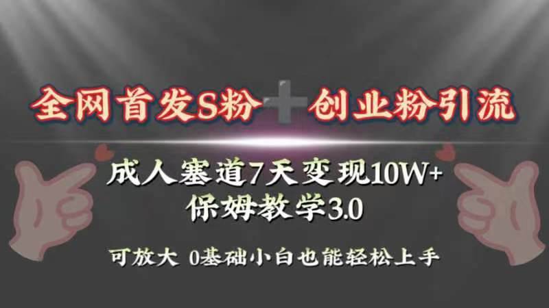 全网首发s粉加创业粉引流变现，成人用品赛道7天变现10w+保姆教学3.0-廉价云资源网