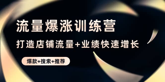 流量爆涨训练营：打造店铺流量+业绩快速增长 (爆款+搜索+推荐)-廉价云资源网