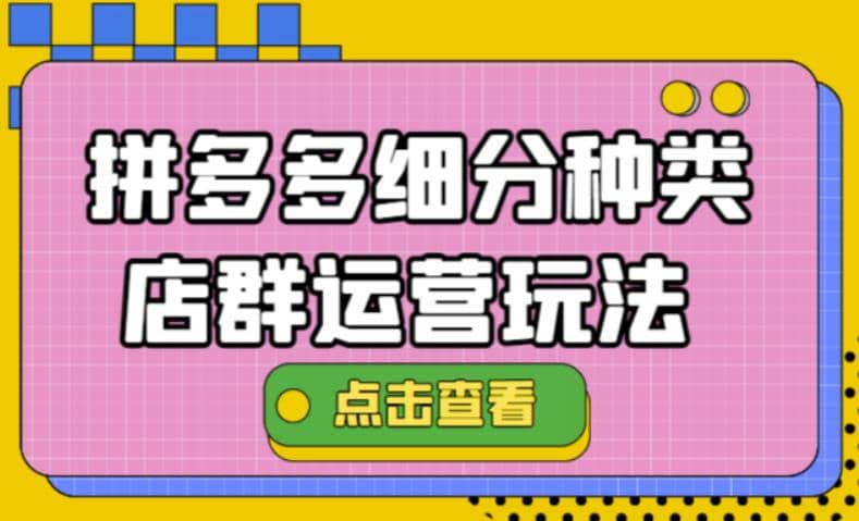 拼多多细分种类店群运营玩法3.0，11月最新玩法，小白也可以操作-廉价云资源网