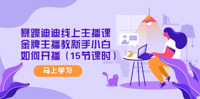 暴躁迪迪线上主播课，金牌主播教新手小白如何开播（15节课时）-廉价云资源网