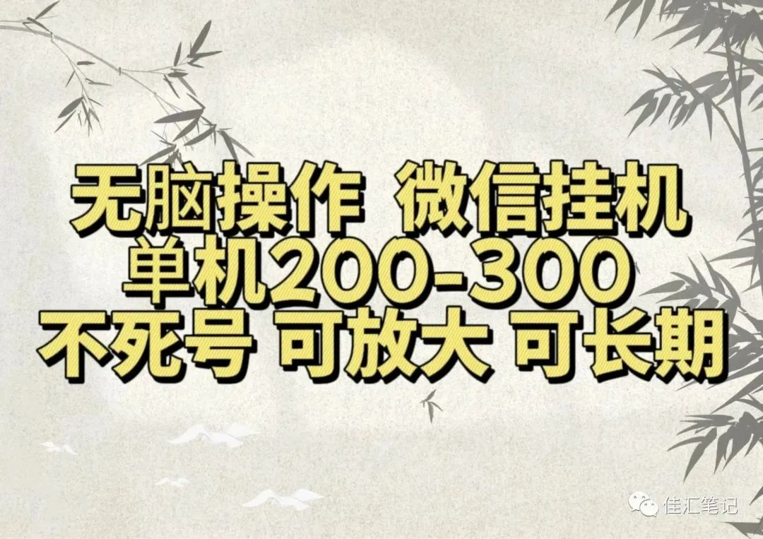 无脑操作微信视频号挂机单机200-300一天，不死号，可放大，工作室实测-廉价云资源网