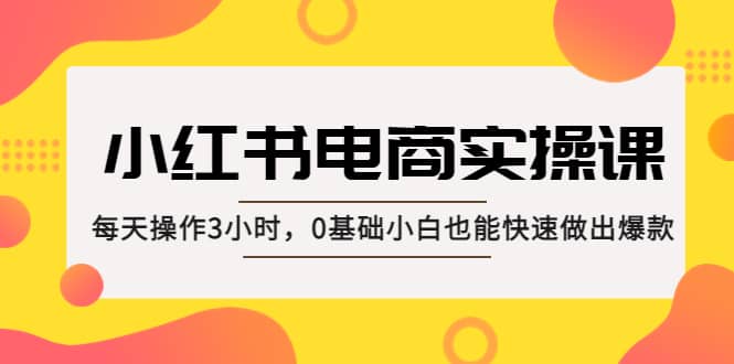 小红书·电商实操课：每天操作3小时，0基础小白也能快速做出爆款-廉价云资源网