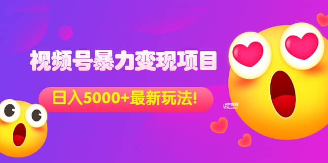 外面收费699的视频号暴力变现项目，日入5000+，简单易操作当天见效果-廉价云资源网