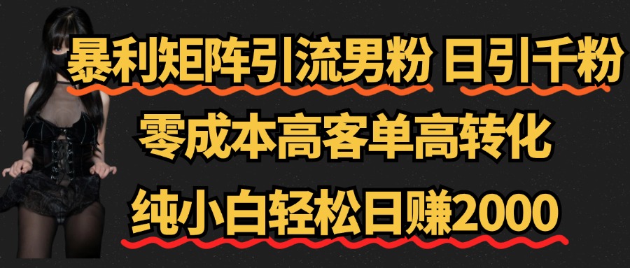 暴利矩阵引流男粉（日引千粉），零成本高客单高转化，纯小白轻松日赚2000+-廉价云资源网