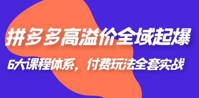 拼多多-高溢价 全域 起爆，6大课程体系，付费玩法全套实战-廉价云资源网