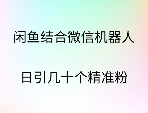 闲鱼结合微信机器人，日引几十个精准粉-廉价云资源网